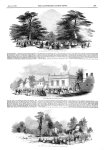 Chiswick House,park-countryside,prints Illustrated London News,giraffes